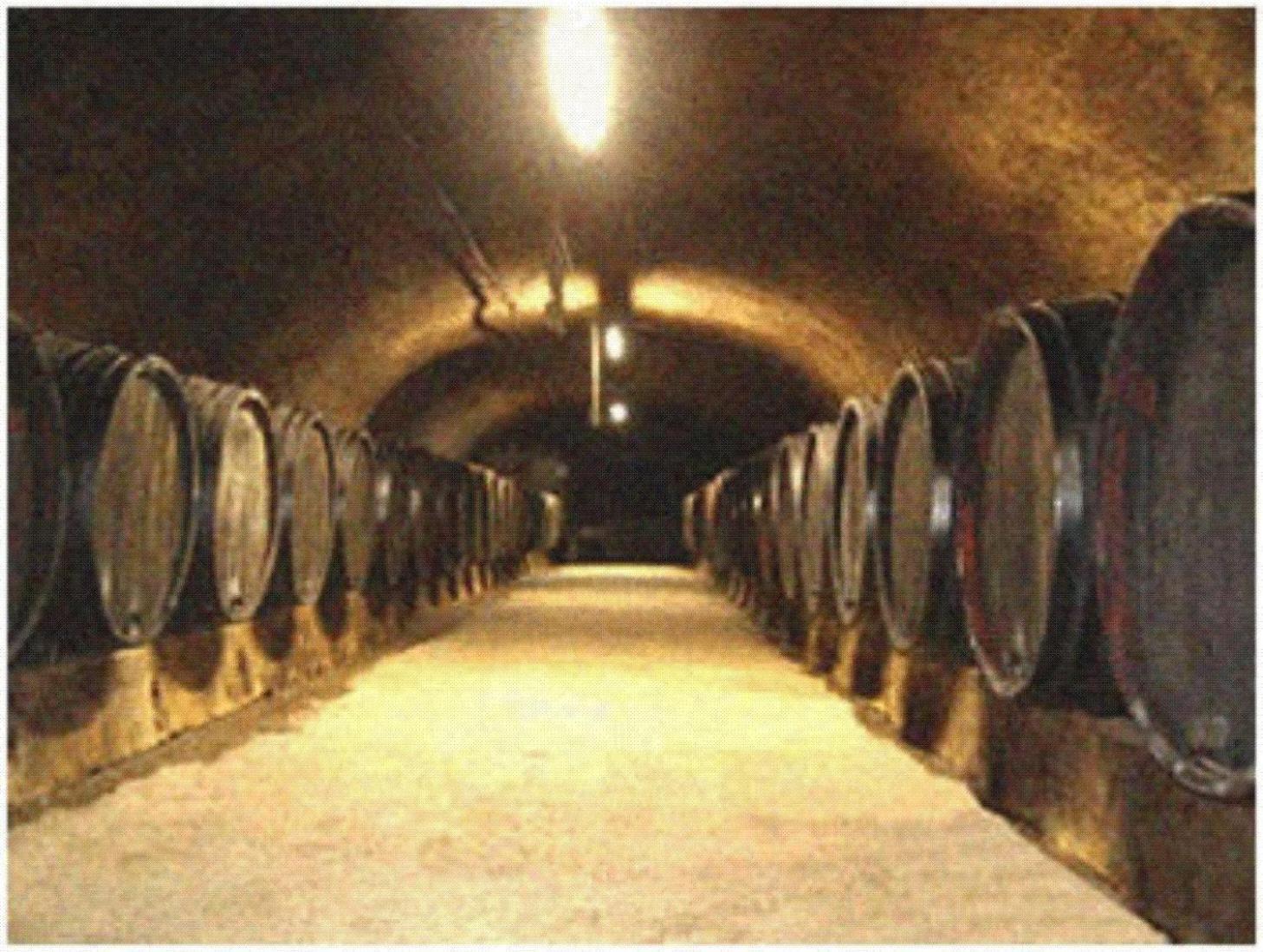Ferienweingut Peter-Jos. Hauth Bernkastel-Kues Bagian luar foto