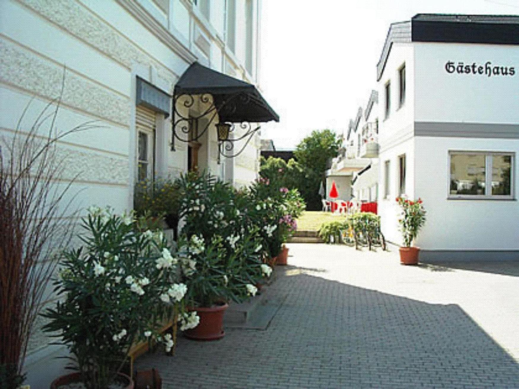 Ferienweingut Peter-Jos. Hauth Bernkastel-Kues Bagian luar foto